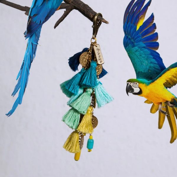 Blue Yellow Macaw Keycharm