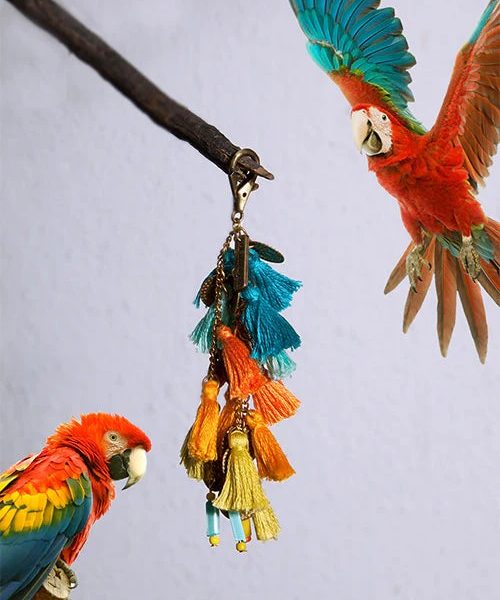 Scarlet Macaw Keycharm